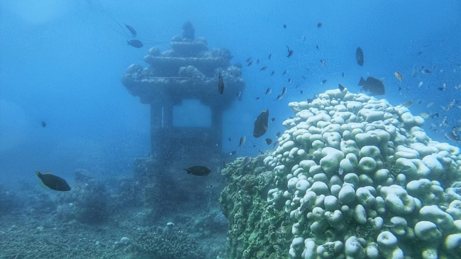 Spot Snorkeling Terbaik di Amed dengan Pemandangan Piramida yang Berjejer