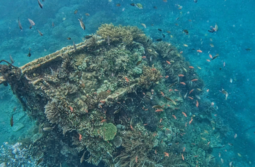 Spot Japanese Ship Wreck in Amed