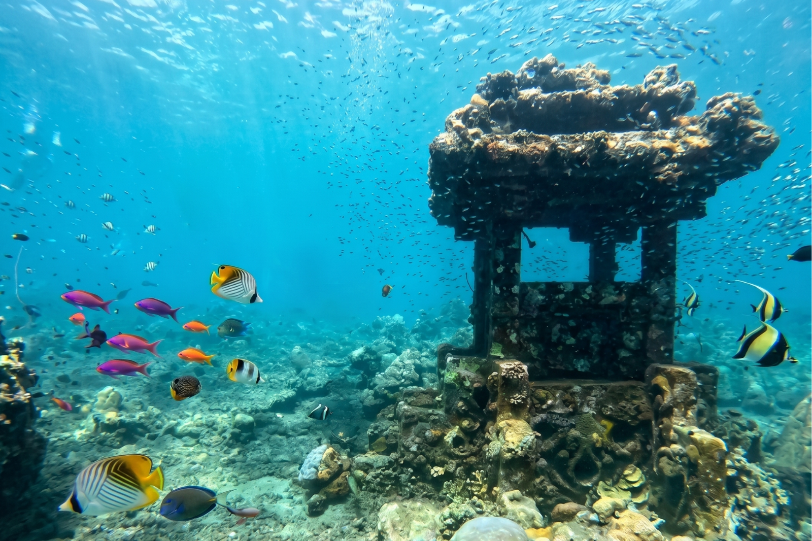 Underwater Tample