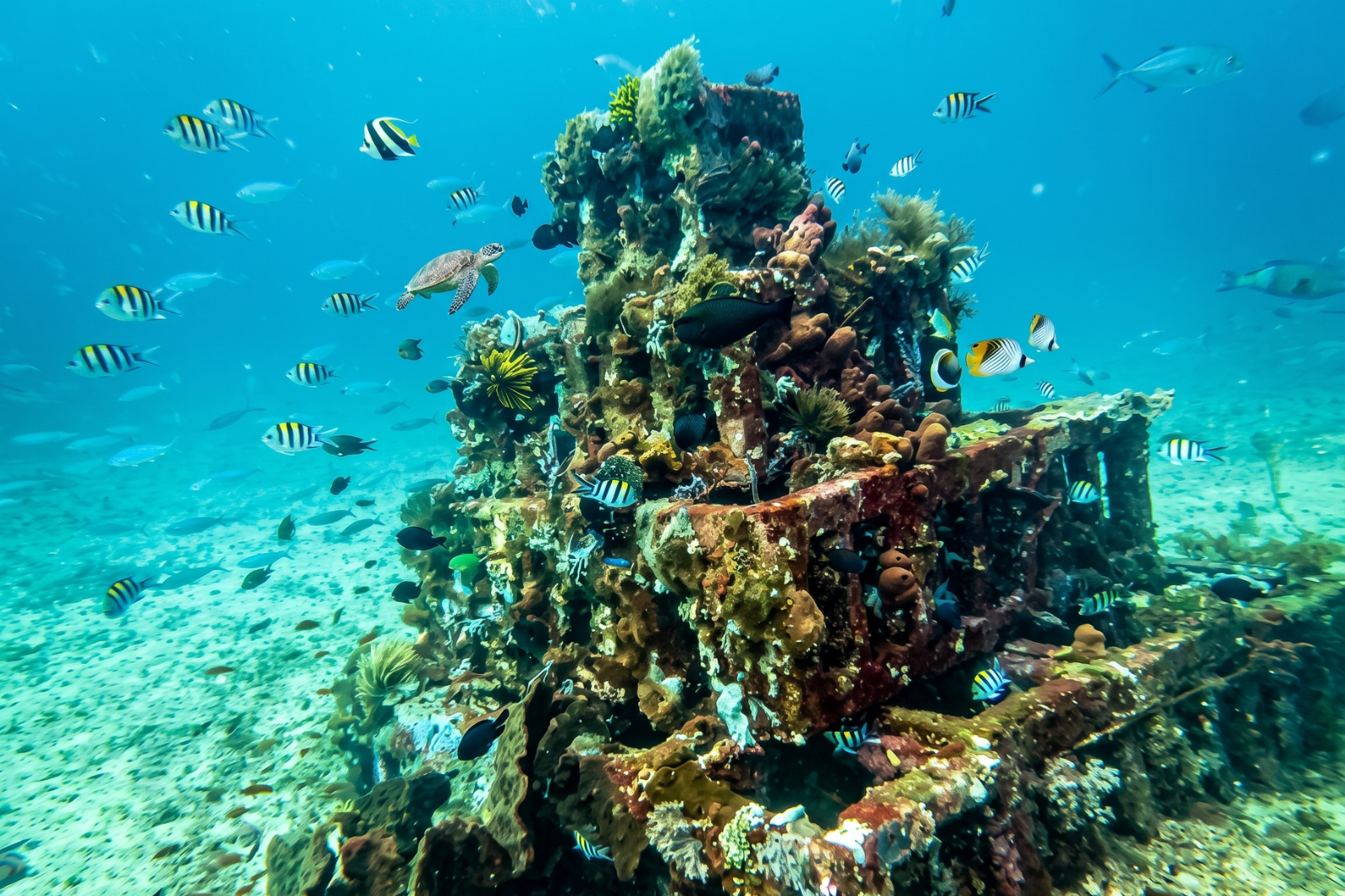 Underwater Pyramid Amed