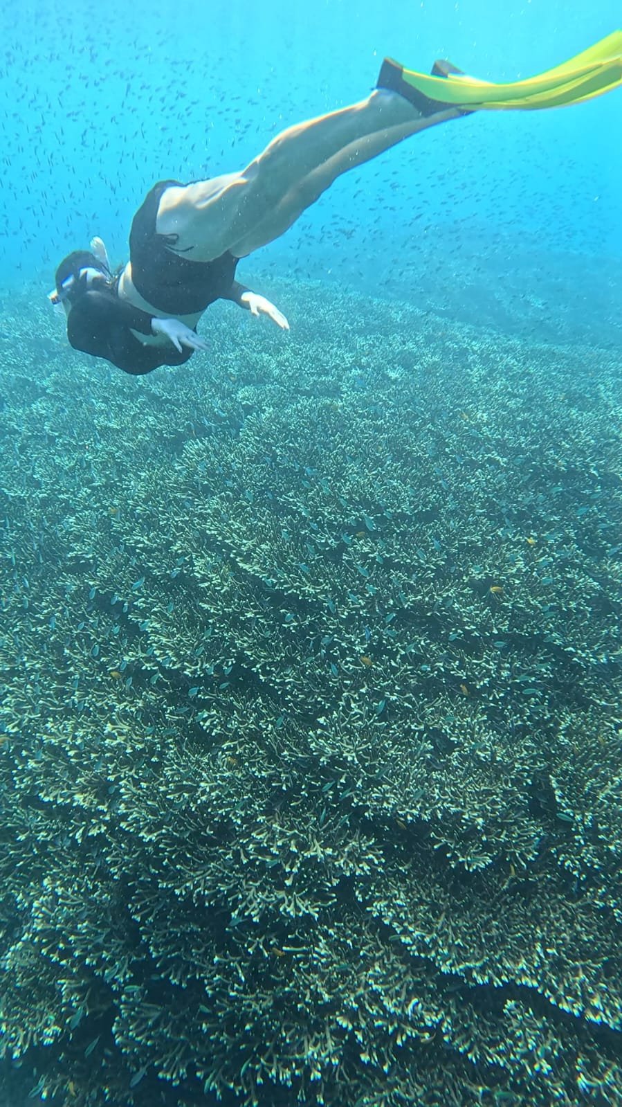 Coral Lean Beach